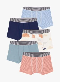PETIT BATEAU Lot De 5 Boxers En Coton Bio | Multicolore