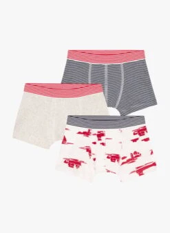 PETIT BATEAU Lot De 3 Boxers En Coton Bio | Multicolore