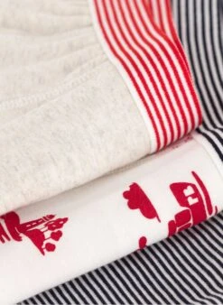 PETIT BATEAU Lot De 3 Boxers En Coton Bio | Multicolore -Petit Bateau Soldes 4152311