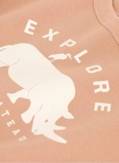 PETIT BATEAU Sweat Col Rond Imprimé En Coton | Rose -Petit Bateau Soldes 4163457